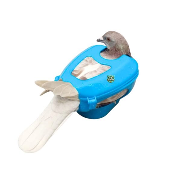 pigeon holder