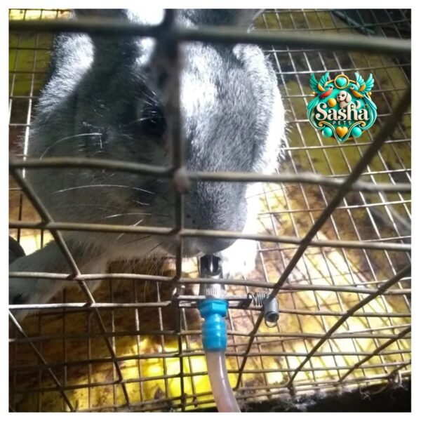 Rabbit nipple drinker - Image 4