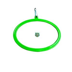 Birds swing ovel