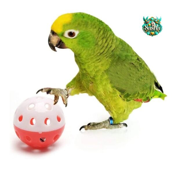 Birds playing ball