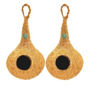 Natural finches nest (model 1)